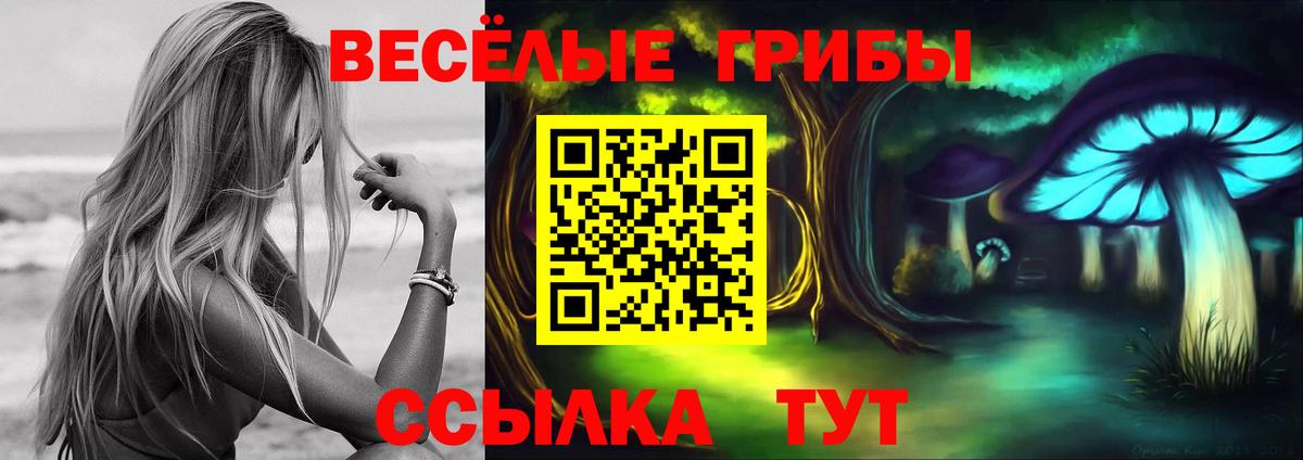 Псилоцибиновые грибы MAGIC MUSHROOMS Рассказово